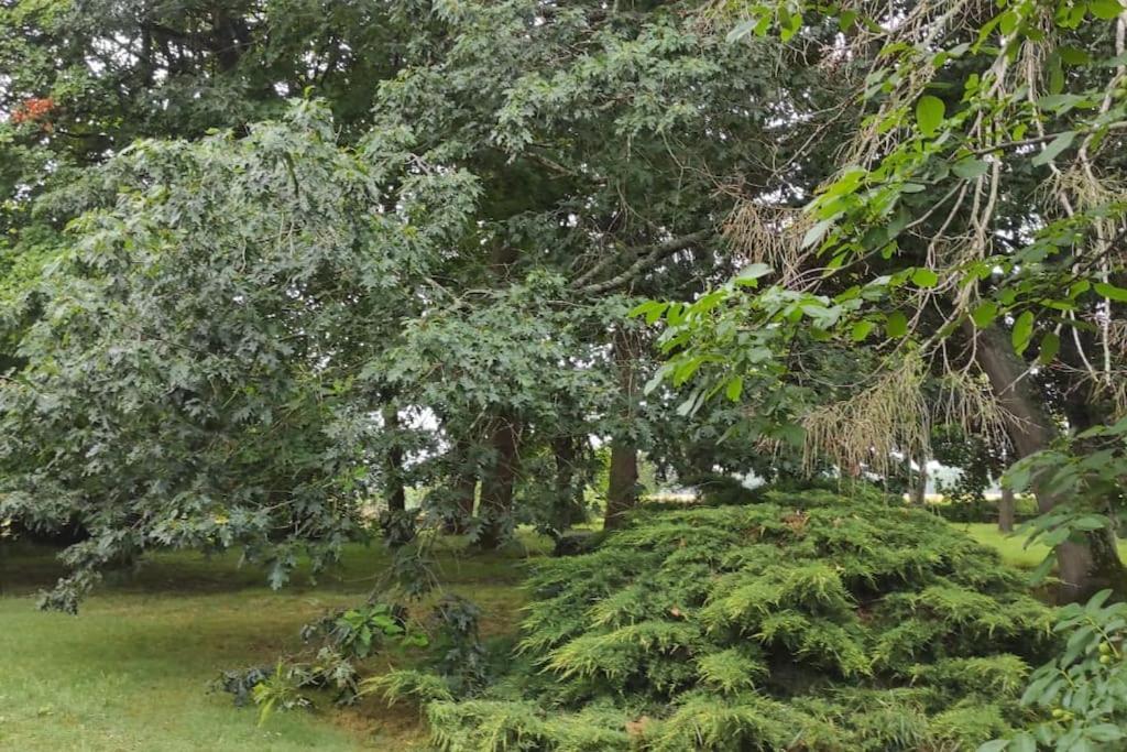 Propriete De Campagne Villa Vierzon Exterior foto